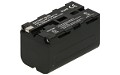 CCD-TRV49 Battery